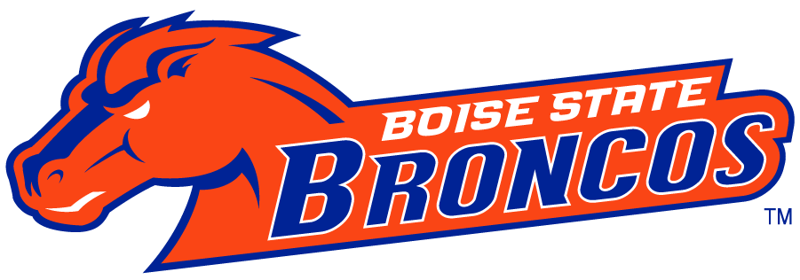 Boise State Broncos 2002-2012 Secondary Logo DIY iron on transfer (heat transfer)